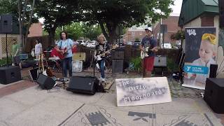 The Dirty Floorboards - Company Man (Jamestown Revival cover)