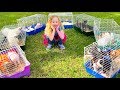 Nastya tem um zoológico em casa Nastya tem um zoológico em casa