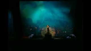 Sarah Brightman  Who Wants to Live Forever.mp4