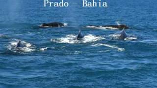 preview picture of video 'Pousada Guaratiba -  Prado  Bahia - O Paraíso é aqui!!!. mpg'
