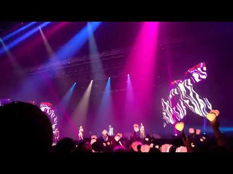 BLACKPINK- KISS AND MAKE UP concert @Bangkok 110119