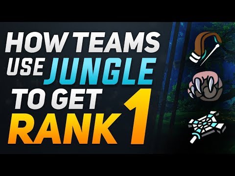How Teams Use Jungle To Get Rank 1