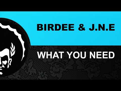 ⭐⭐⭐Birdee & J.N.E ֍ What You Need (Extended Mix)