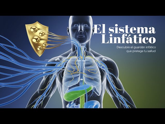 Vídeo relacionado con El flujo secreto del bienestar: El arte del masaje linfático para liberar el cuerpo, calmar la mente y despertar la vitalidad