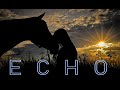 Echo featuring Greg Johnson