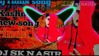RINDA HO /DJ SK NASIR /SUPER HIT DJ/REMIX KASHMIRI SONG 2020 BEST DJ MAXING SONG super hit maxing🎧🎧🎧