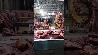 Download lagu Suasana Malam di Rumah potong hewan Palu mp3 Download lagu Suasana Malam di Rumah potong hewan Palu mp3