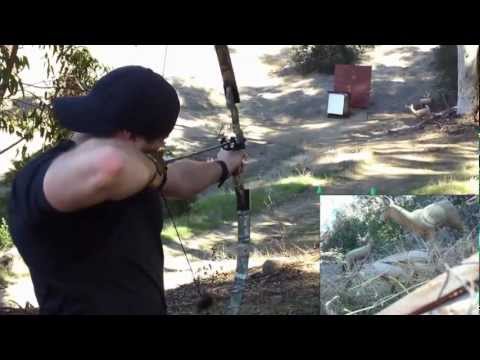 6 archers, 3D shoot at Balboa Park (3 of 6)
