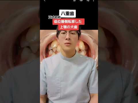 犬の八重歯 – 原因と対処法