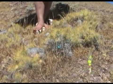 CHICA ANDINA - POPURRIT DE PUMPIN