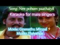 Nee Pogum Paathaiyil Karaoke For Male Grammathu Minnal Illaiyaraja