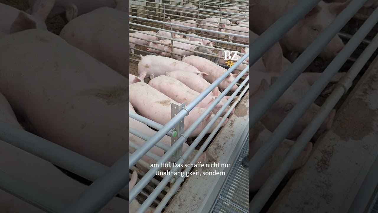 A new animal welfare barn creates seamless control over all production steps.