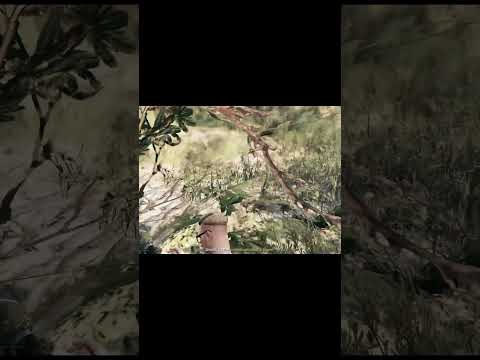 GTA Online - Quad Bike Rotated #gta #gtaonline #quads