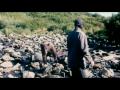 Documentary Nature - Grizzly Man