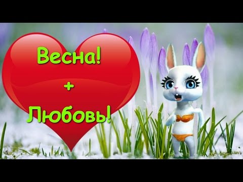 Zoobe Зайка Если в окно лучиком весна :-)