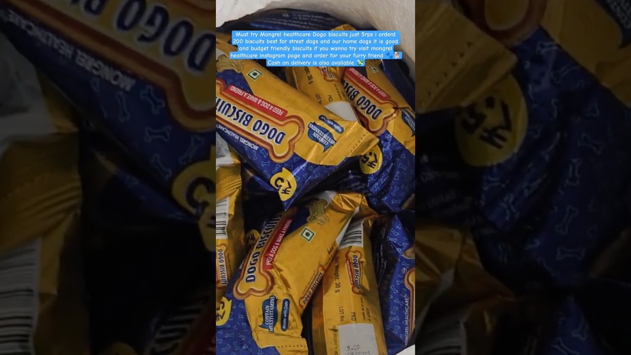 Mongrel health care dogo biscuits #simba #mongrel #ytshorts #furryfriend @mongrelhealthcare5530