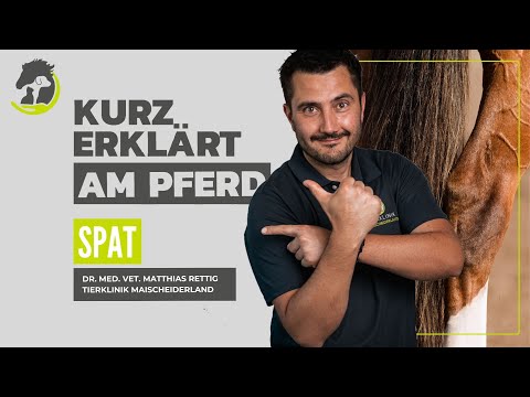 Spavin - Explanation, diagnosis and treatment options. Briefly explained using a horse as an exam...