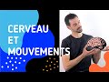 FINAL YEAR COURSE SPECIALIZING IN SVT CHAPTER 15 BRAIN VOLUNTARY MOVEMENT AND ACTION OF SUBSTANCES