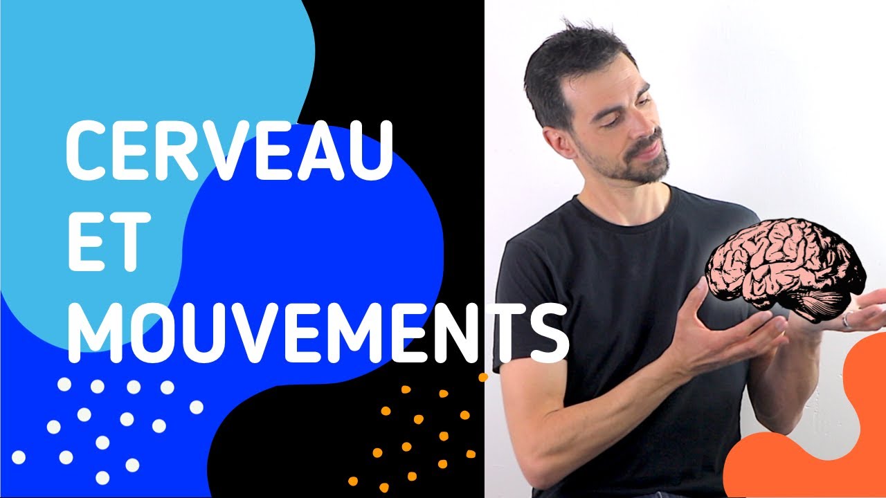 COURS DE TERMINALE SPÉCIALITÉ SVT CHAP.15: CERVEAU, MOUVEMENT VOLONTAIRE ET ACTION DE SUBSTANCES