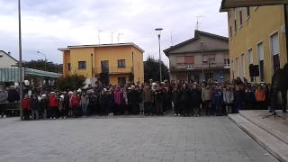 preview picture of video 'Sanguinetto 31/10/2012   Commemorazione del 4 Novembre 2/2'