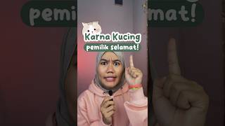 Download lagu KUCING INI MENYELAMATKAN PEMILIKNYA🥺🫶 #diluarlaut #marinasea mp3