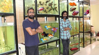 Biggest WholeSale & Retail Aquarium store in Noida Delhi NCR || Life forms Nutrilabs Aqua Studio