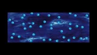 Silicon Scally | Nucleon