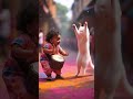 MON HIRA DOI Kokrajhar Assamese Dance Love Assamesesong Highlight Viralvideo Shortvideo