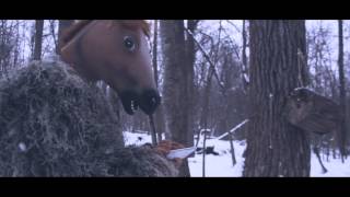 Enough - Official Trailer 2013