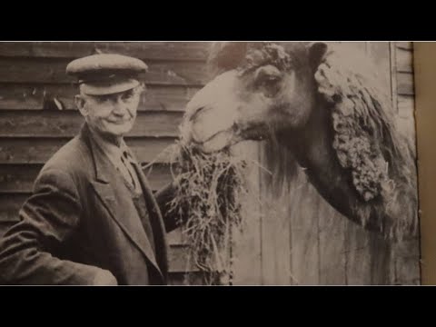 Cobtree Country Park Once Maidstone Zoo