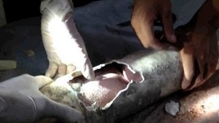 Baby saved from sewage pipe in China