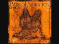 Chain Sling - Pain of Salvation 