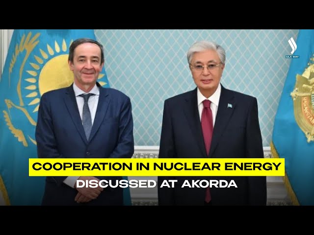 Cooperation in nuclear energy discussed at Akorda