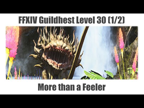 FFXIV Guildhest Level 30 (1/2) - More than a Feeler - A Realm Reborn