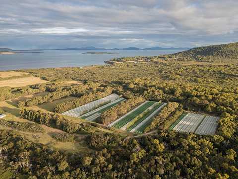 8 Badger Corner Road, Lady Barron, TAS 7255, 5 phòng ngủ, 2 phòng tắm, Lifestyle Property