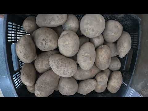 6-11-2025 Ecija Spain city visit belevenissen Kobus&Toos 