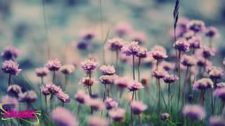 Ruby Empress - Strung Out