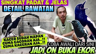 Download lagu Punya Kacer Cuma WIKPLONG ⁉️ PAKAI CARA INI SAJA, AGAR KACER JADI GACOR BUKA EKOR mp3