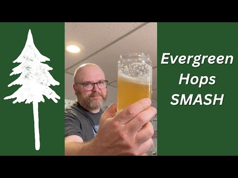 What Do Evergreen Hops Taste Like? - SMaSH Beer - Brew Dudes