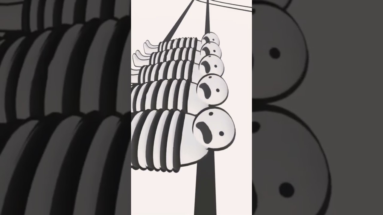 The real solution to the trolley problem #memes #fyp