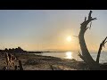 Vanlife Italien Der Traumstrand Lido Oasi Und Der Geist Der Mit Uns Flog