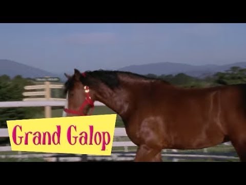 Grand Galop 108 - Silence on tourne | HD | Épisode Complet