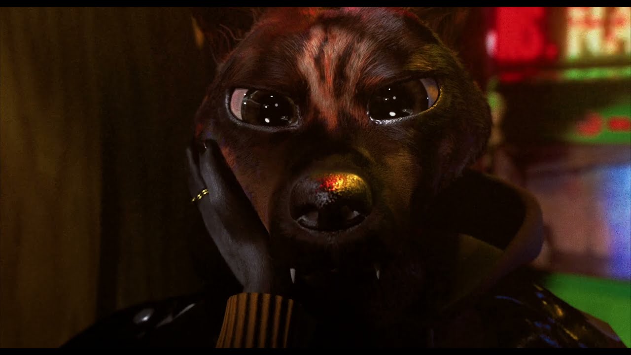 Miniature de la vidéo BOUCHRA de Orian Barki et Meriem Bennani - le 3 juin au cinéma du film Bouchra