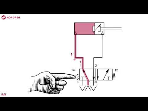 Training Modules 6 BUILDING A CIRCUIT (FULL)