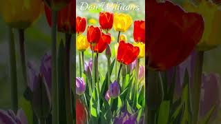 💘You Keep Coming 'Round💘- Don Williams #shorts #donwilliamssongs  #lyricvideo @Chantertracks