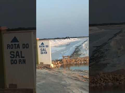 Porto do mangue 🧂