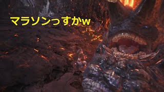 mhw pc版　脳死2　（ナナテスカトリ最大金冠）