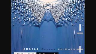Front 242 - Angel (Wipe Out)