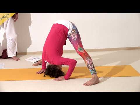 Stehende Grätsch-Stellung mit Scheitel auf dem Boden - Samakonasana - Yoga Asana Lexikon