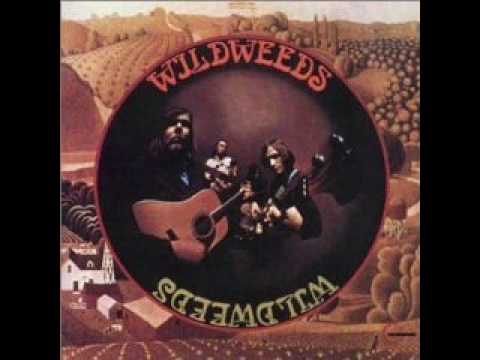 Wildweeds - Mare, Take Me Home